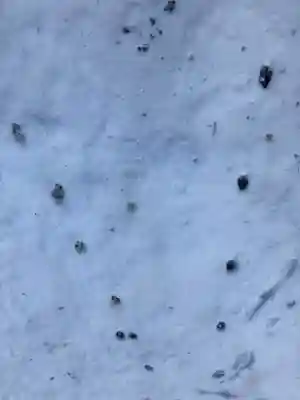 小滝不動尊(兵庫県)