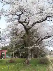 神明神社(岩手県)