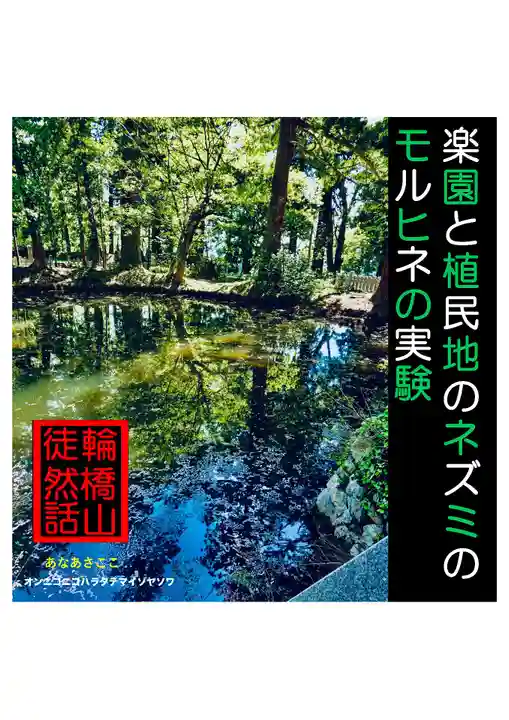 耕田院(山形県)