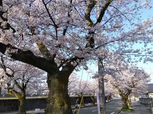  湊八幡神社(福井県)