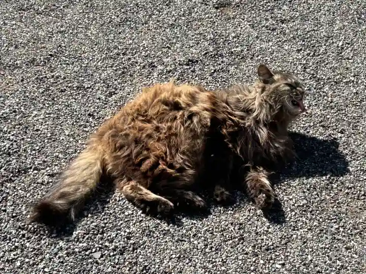 山梨縣護國神社(山梨県)