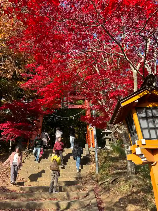 新倉富士浅間神社(山梨県)
