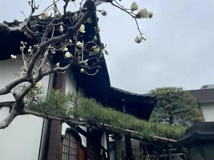 妙情寺の{uncategorized: "未分類", other: "その他", undefined: "問題あり", building: "その他建物", grave: "お墓", sacred_gate: "鳥居", guardian: "狛犬", statue: "像", buddha: "仏像", history: "歴史", nature: "自然", garden: "庭園", animal: "動物", pagoda: "塔", temizu: "手水舎", mountain_gate: "山門・神門", sanctuary: "本殿・本堂", subordinate: "末社・摂社", art: "芸術", scenery: "景色", jizo: "地蔵", ema: "絵馬", goshuin: "御朱印", omikuji: "おみくじ", items: "授与品その他", amulet: "お守り", goshuincho: "御朱印帳", eats: "食事", festival: "お祭り", votive_dance: "神楽", shichigosan: "七五三参", wedding: "結婚式", experience: "体験その他", initially: "初詣", around: "周辺", anti_infection: "感染症対策"}