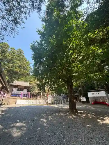 下野 星宮神社の{uncategorized: "未分類", other: "その他", undefined: "問題あり", building: "その他建物", grave: "お墓", sacred_gate: "鳥居", guardian: "狛犬", statue: "像", buddha: "仏像", history: "歴史", nature: "自然", garden: "庭園", animal: "動物", pagoda: "塔", temizu: "手水舎", mountain_gate: "山門・神門", sanctuary: "本殿・本堂", subordinate: "末社・摂社", art: "芸術", scenery: "景色", jizo: "地蔵", ema: "絵馬", goshuin: "御朱印", omikuji: "おみくじ", items: "授与品その他", amulet: "お守り", goshuincho: "御朱印帳", eats: "食事", festival: "お祭り", votive_dance: "神楽", shichigosan: "七五三参", wedding: "結婚式", experience: "体験その他", initially: "初詣", around: "周辺", anti_infection: "感染症対策"}