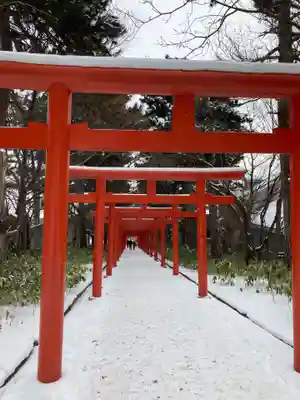 札幌伏見稲荷神社の鳥居