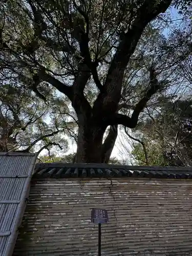 石清水八幡宮(京都府)