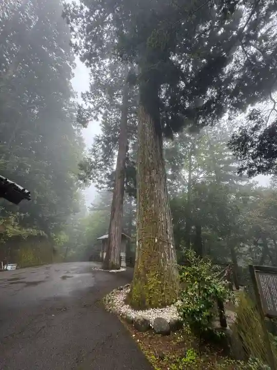 瀧神社(岐阜県)