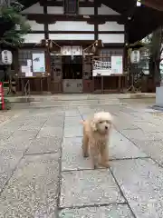 三輪神社の動物