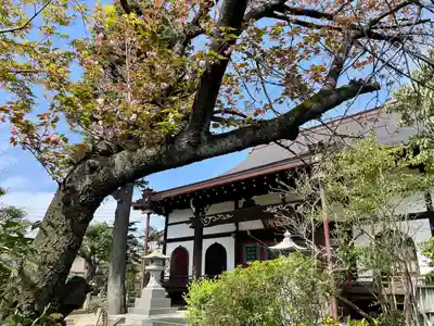 本行寺(東京都)