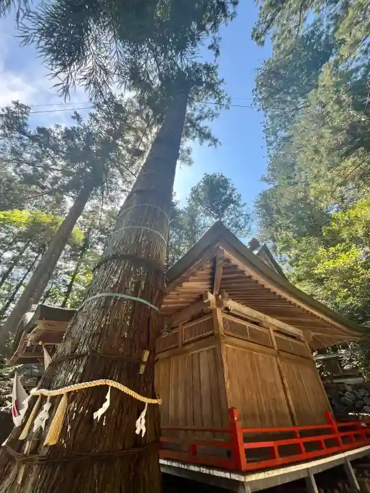御杖神社の{uncategorized: "未分類", other: "その他", undefined: "問題あり", building: "その他建物", grave: "お墓", sacred_gate: "鳥居", guardian: "狛犬", statue: "像", buddha: "仏像", history: "歴史", nature: "自然", garden: "庭園", animal: "動物", pagoda: "塔", temizu: "手水舎", mountain_gate: "山門・神門", sanctuary: "本殿・本堂", subordinate: "末社・摂社", art: "芸術", scenery: "景色", jizo: "地蔵", ema: "絵馬", goshuin: "御朱印", omikuji: "おみくじ", items: "授与品その他", amulet: "お守り", goshuincho: "御朱印帳", eats: "食事", festival: "お祭り", votive_dance: "神楽", shichigosan: "七五三参", wedding: "結婚式", experience: "体験その他", initially: "初詣", around: "周辺", anti_infection: "感染症対策"}