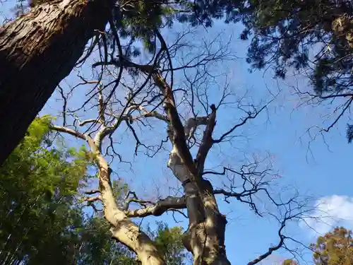 沼尾神社の自然