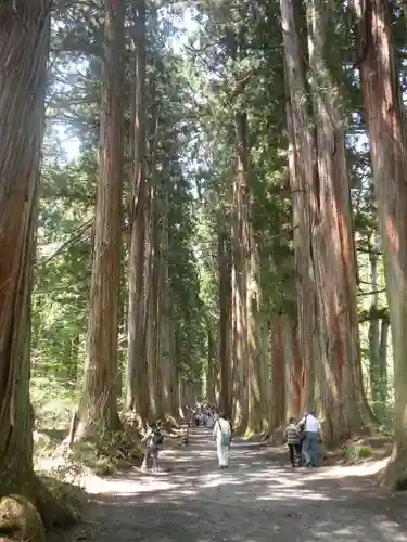 戸隠神社奥社の自然