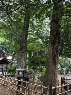 神明大神宮(神奈川県)