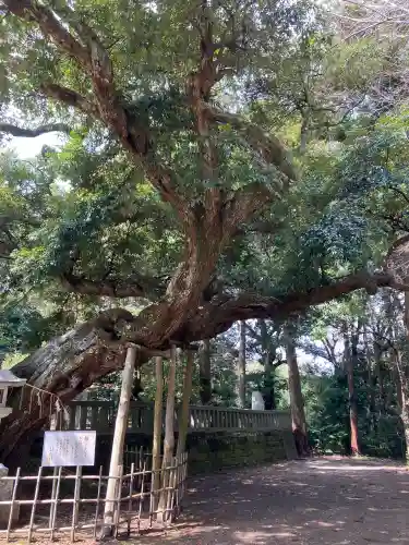 莫越山神社の{uncategorized: "未分類", other: "その他", undefined: "問題あり", building: "その他建物", grave: "お墓", sacred_gate: "鳥居", guardian: "狛犬", statue: "像", buddha: "仏像", history: "歴史", nature: "自然", garden: "庭園", animal: "動物", pagoda: "塔", temizu: "手水舎", mountain_gate: "山門・神門", sanctuary: "本殿・本堂", subordinate: "末社・摂社", art: "芸術", scenery: "景色", jizo: "地蔵", ema: "絵馬", goshuin: "御朱印", omikuji: "おみくじ", items: "授与品その他", amulet: "お守り", goshuincho: "御朱印帳", eats: "食事", festival: "お祭り", votive_dance: "神楽", shichigosan: "七五三参", wedding: "結婚式", experience: "体験その他", initially: "初詣", around: "周辺", anti_infection: "感染症対策"}