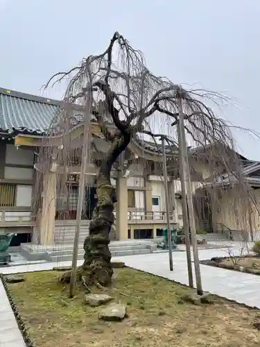 蓮香院(宮城県)