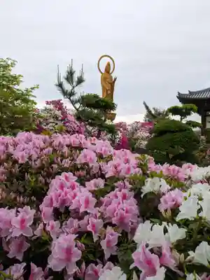 法雲寺(大阪府)