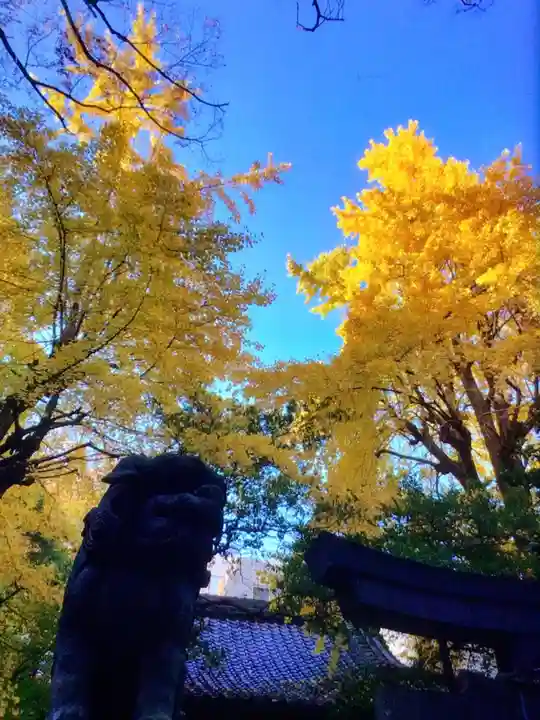 赤坂氷川神社(東京都)
