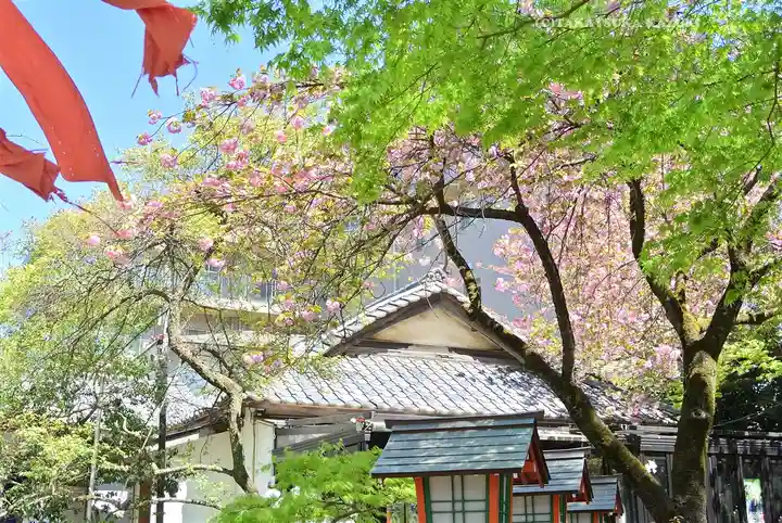 明王院(満願寺別院)(東京都)