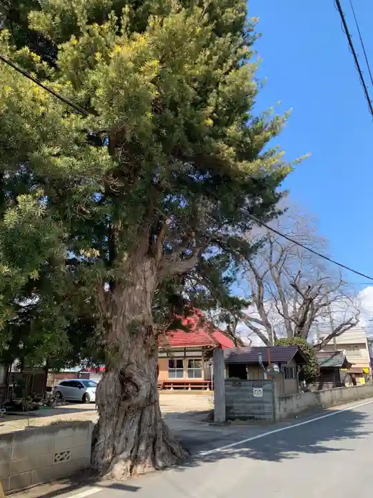 観音寺(千葉県)