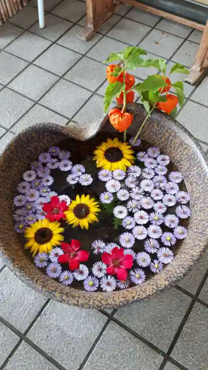 美瑛神社の手水舎