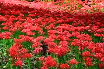 七百餘所神社 の周辺
