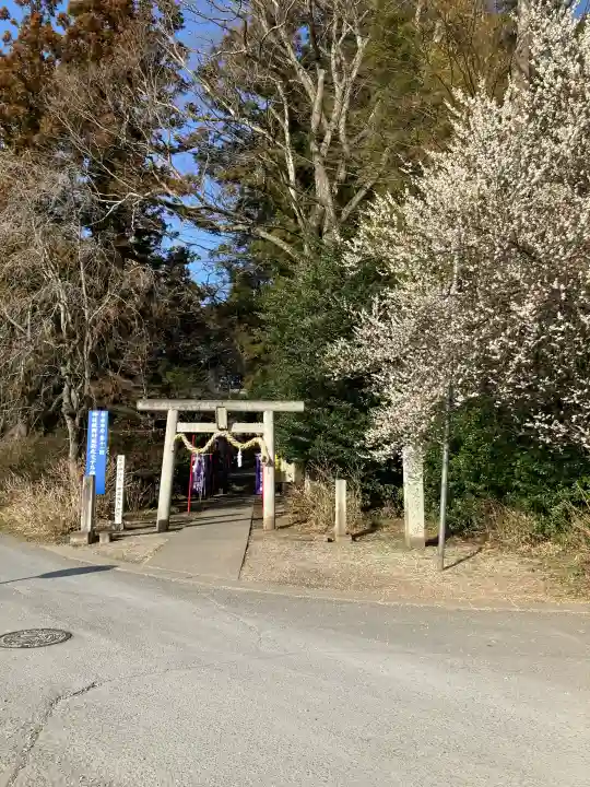 下野 星宮神社の{uncategorized: "未分類", other: "その他", undefined: "問題あり", building: "その他建物", grave: "お墓", sacred_gate: "鳥居", guardian: "狛犬", statue: "像", buddha: "仏像", history: "歴史", nature: "自然", garden: "庭園", animal: "動物", pagoda: "塔", temizu: "手水舎", mountain_gate: "山門・神門", sanctuary: "本殿・本堂", subordinate: "末社・摂社", art: "芸術", scenery: "景色", jizo: "地蔵", ema: "絵馬", goshuin: "御朱印", omikuji: "おみくじ", items: "授与品その他", amulet: "お守り", goshuincho: "御朱印帳", eats: "食事", festival: "お祭り", votive_dance: "神楽", shichigosan: "七五三参", wedding: "結婚式", experience: "体験その他", initially: "初詣", around: "周辺", anti_infection: "感染症対策"}