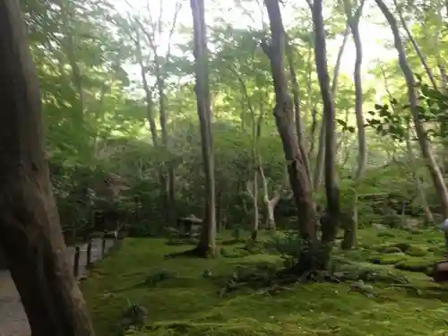 祇王寺の庭園