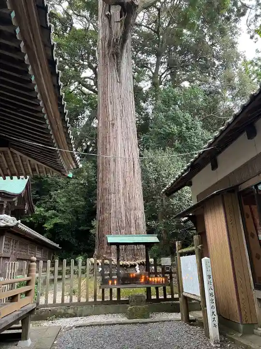 事任八幡宮(静岡県)