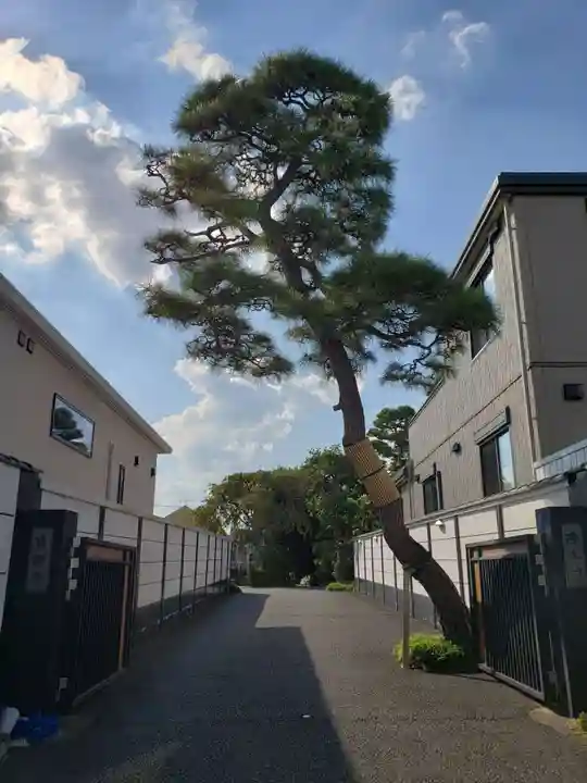 貞源寺(東京都)