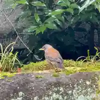 伊勢の国 四天王寺(三重県)