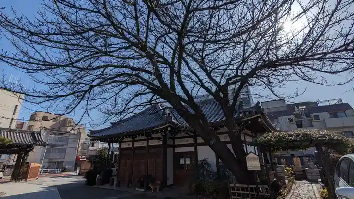 感通寺(東京都)