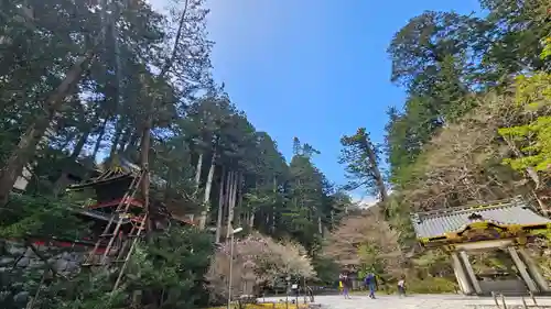 日光山輪王寺 大猷院(栃木県)