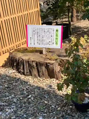 寒河江八幡宮(山形県)