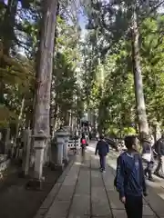 高野山金剛峯寺奥の院(和歌山県)