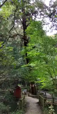 小倉神社(京都府)