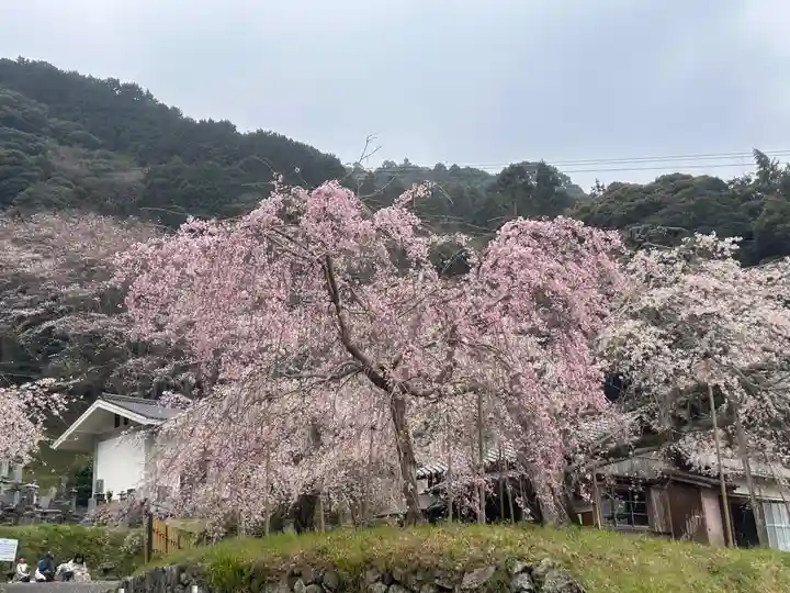 南明寺(山口県)