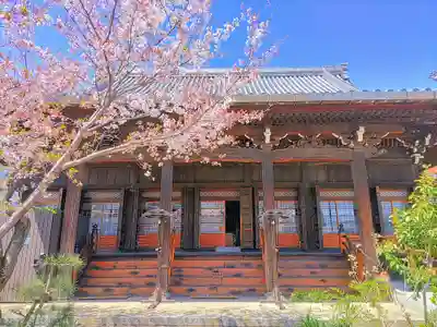 盛福寺の本殿・本堂