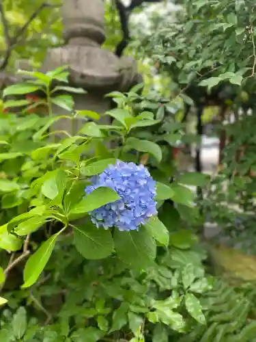 愛宕神社(東京都)