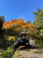 国上寺(新潟県)