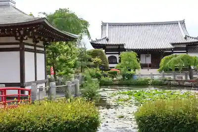 圓照寺(埼玉県)