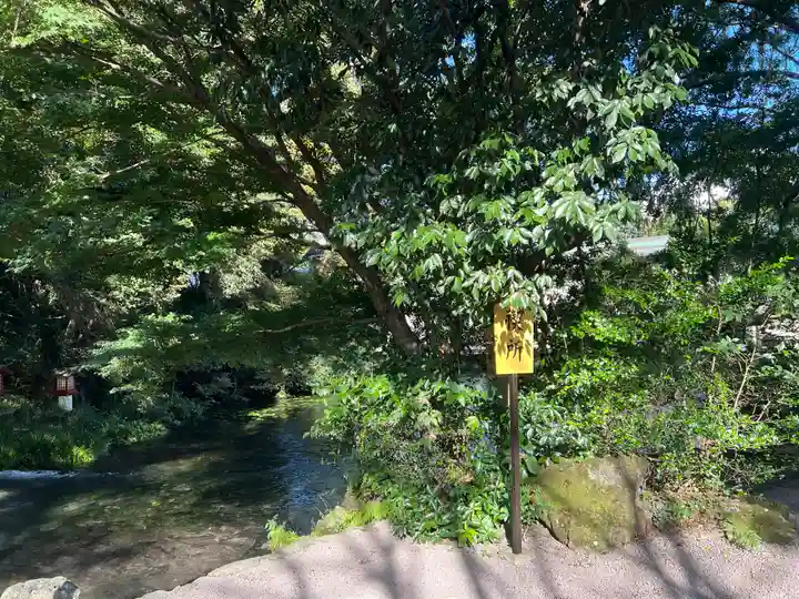 富士山本宮浅間大社(静岡県)