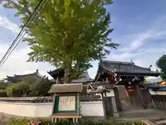 法然寺(京都府)