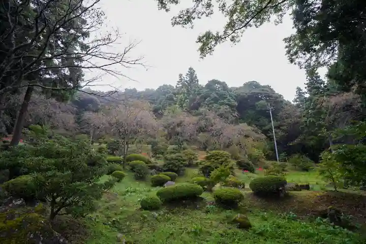 南原寺(山口県)
