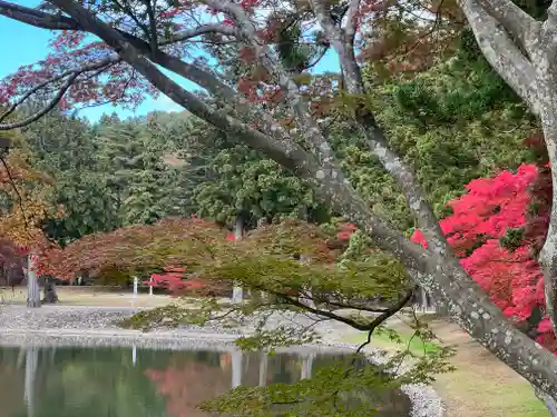 毛越寺の庭園