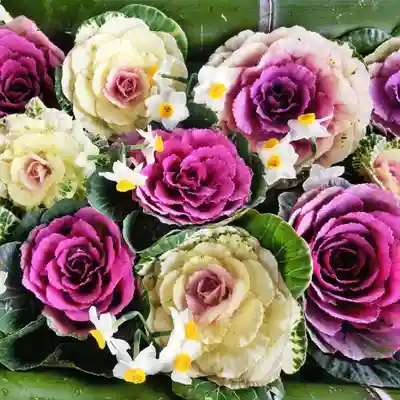 立志神社の手水舎