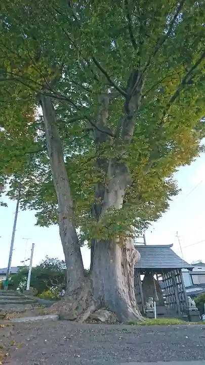 鮫八幡宮(青森県)