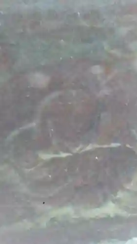 臼杵石仏のその他建物