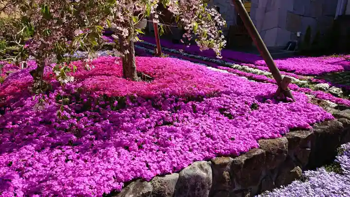 寿量山 速成寺の庭園