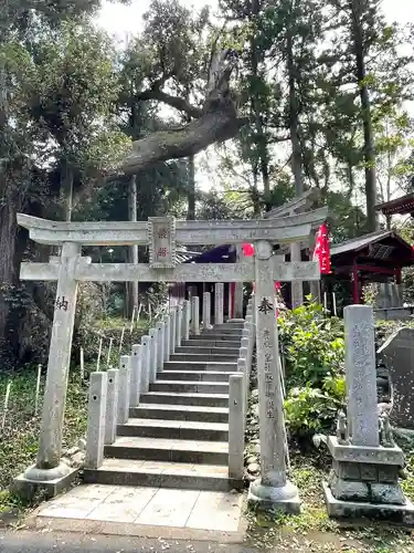 大杉神社の鳥居