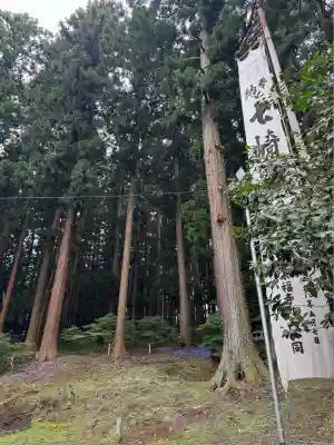 七崎神社(青森県)